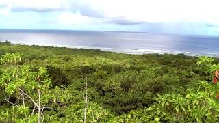 Peleliu 1944 And The Us 81St Infantry Division
