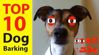 TOP 10 dog barking videos compilation - Funny dogs