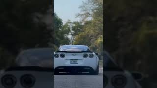 Cammed Corvette Yelling Like It Just Got Let Outta Jail