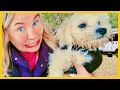 Dog’s First RV Camping Trip… and DUMB MISTAKES I MADE!