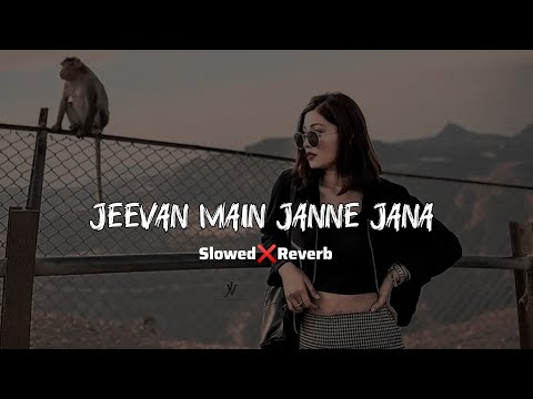 Jeevan Mein Jaane Jaana Slowed Reverb Bichhoo 2000 Bobby Deol Rani Mukherjee Lofi 90s