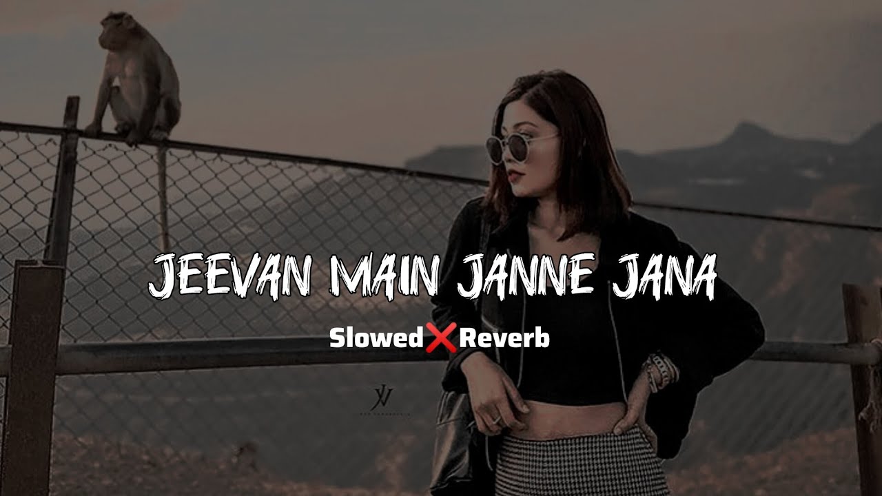 Jeevan Mein Jaane Jaana | Slowed & Reverb | Bichhoo (2000) |Bobby Deol, Rani Mukherjee 