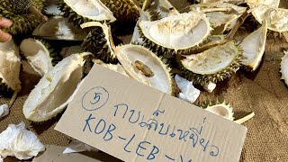 Mga Pinoy Nagkagulo sa Thailand dahil sa Durian!