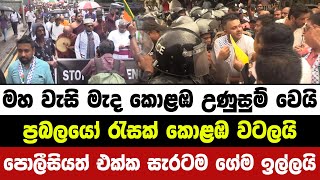 මහ වැසි මැද කොළඹ අලි උත්ඝෝෂණයක්. පොලීසියත් එක්ක ගේම ඉල්ලයි | hiru news today | ada derana jvp | npp