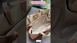 Cyme Mini Organizer handbags lifeisbutadream bag
