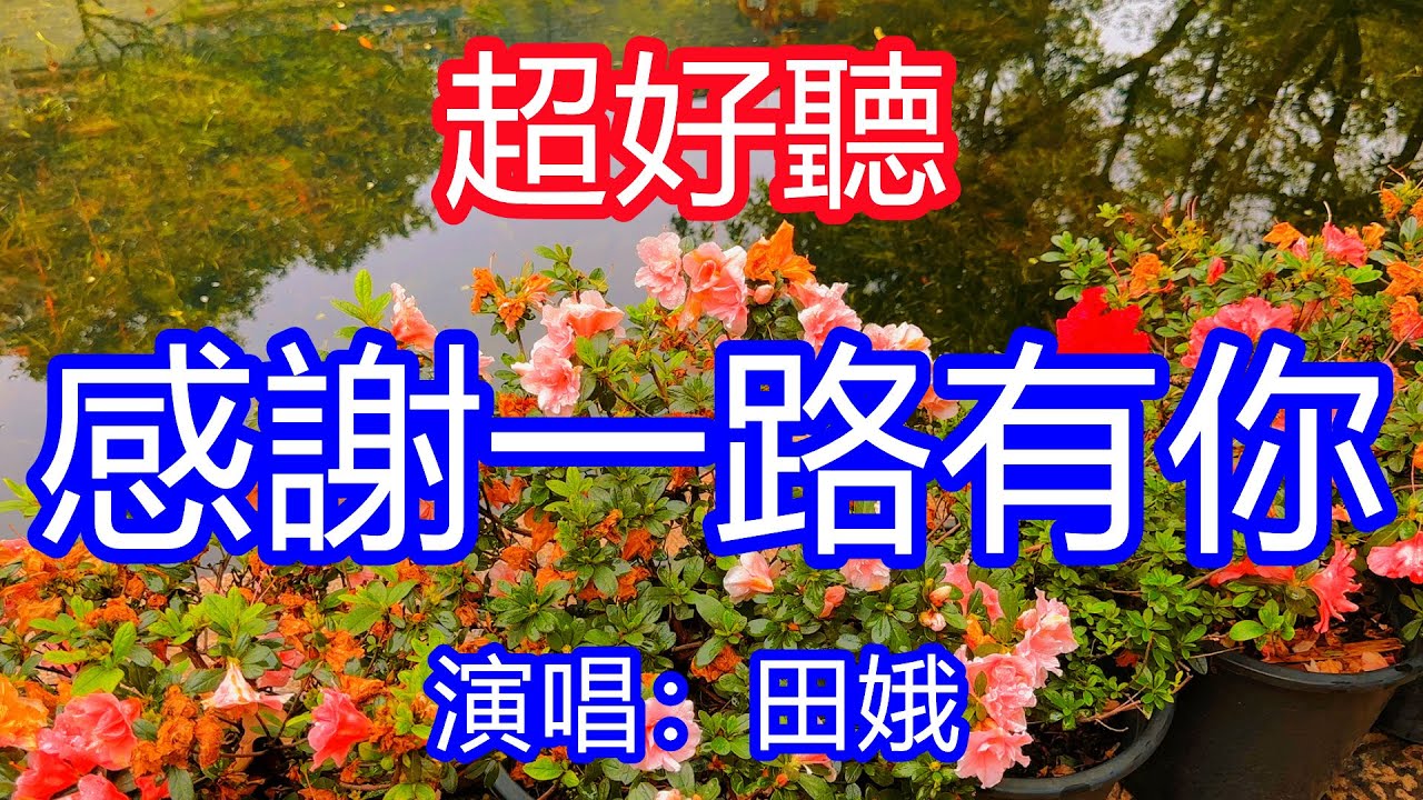 天呀！太好聽了，12月田娥超火傷感情歌《感謝一路有你》，獨特的嗓音，單曲循環聽不夠！這份真情永藏在心頭，未來的路還要一起走！唱的撕心裂肺，聽得痛哭流涕！廣東風景！傷感情歌！療癒情歌！