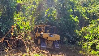 Excellent Job Bulldozer Working Cleaning The Bushes For a Palm Oil Plantation