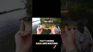 Video credits go to:@ndyakangler #kayakfishingtips #fishingmethods #fishingtechniques #fish #water