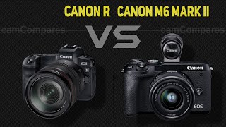 Canon Eos R Vs Canon M6 Mark Ii Camera Battle