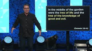 Freedom Week 1: Video - The Tree of Life