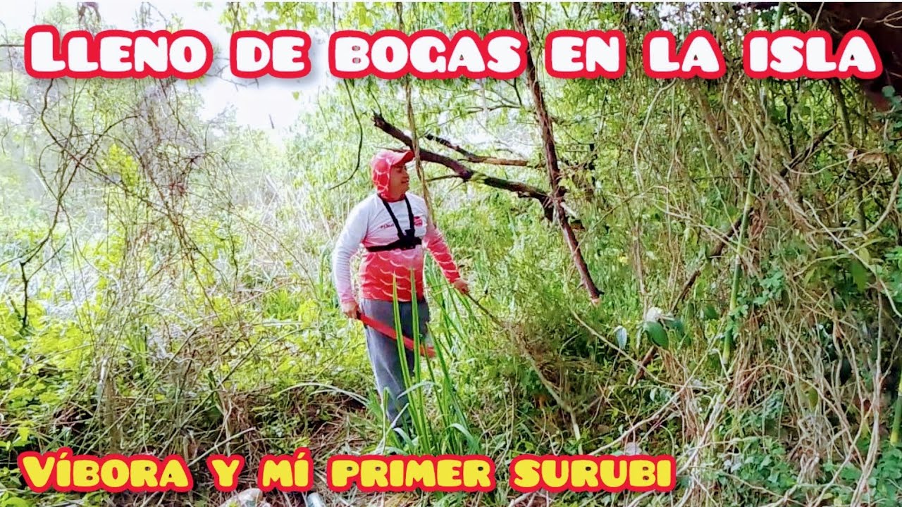 PESCA DE BOGAS EN EL PARANA ! ACÁ SALIO MI PRIMER SURUBI