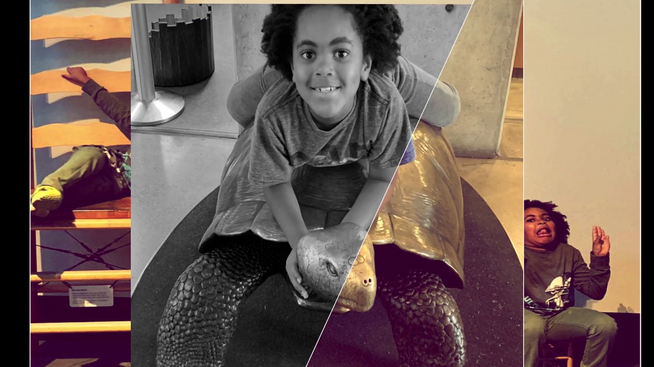 Exploratorium - San Francisco - Travel Videos for Kids