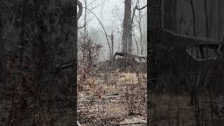 What is it?? Abandoned car found in the woods!