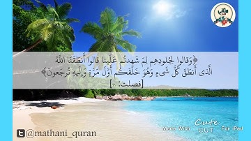 تلاوة خاشعة من سورة فصلت ( وقالوا لجلودهم لم شهدتم علينا ) | مشاري العفاسي