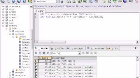 Creando vistas con Mysql