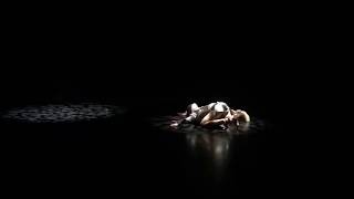 Danielle Huyghe Metallic Fabric Into The Universe.