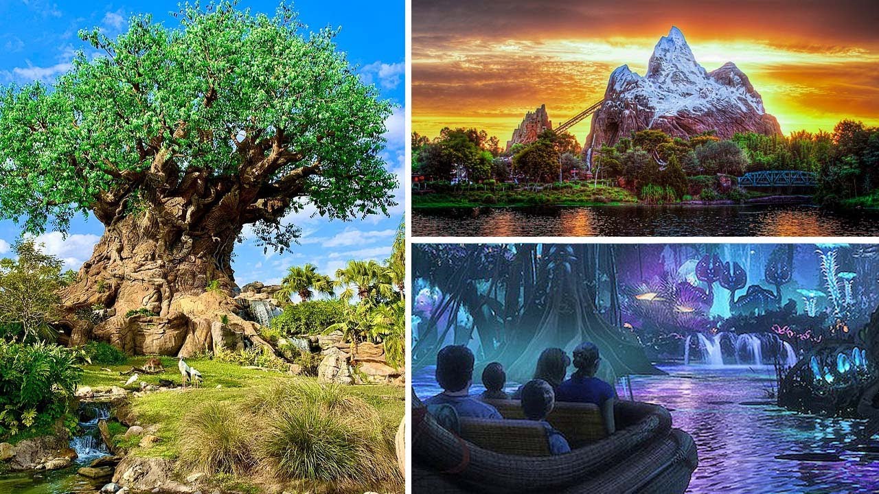 Путешествие по реке На'ви — ЛУЧШЕ, чем перелет