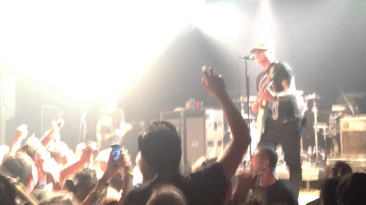 Dogs Eating Dogs (live)