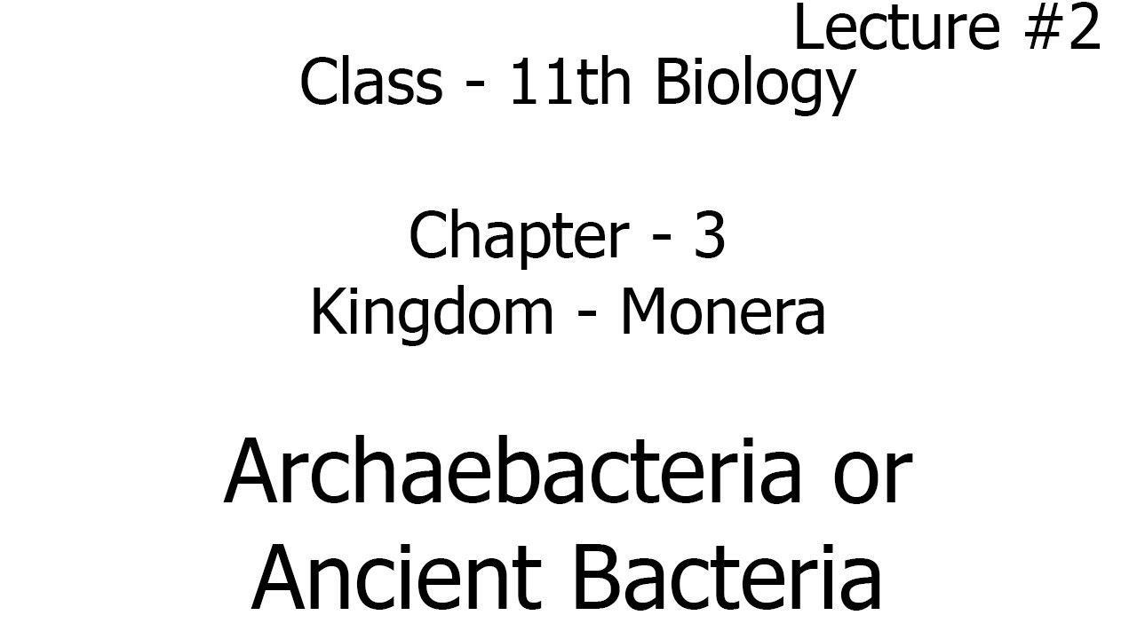 archaebacteria or ancient bacteria | kingdom monera | biology | chapter 3 |  class 11