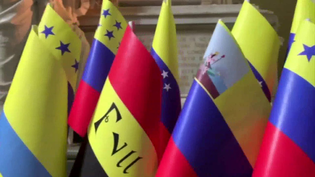 sarena parmar DIA DE LA BANDERA NACIONAL EN VENEZUELA1