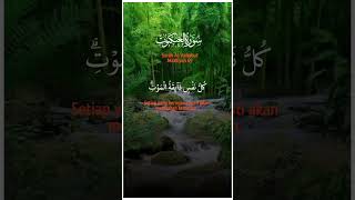 📖: Surah Al-Ankabut:56-57 !🎙️:Yusuf Usman #islamicvideo #shorts #qurantilawat #quran #status