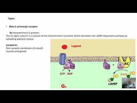 Video: Nadolol - Instructies Voor Gebruik, Prijs, Beoordelingen, Medicijnanalogen