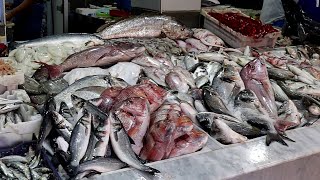 Most Amazing Moroccan Fish Store - All Great Fish in One Place