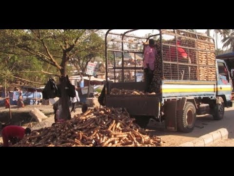 Biashara Kwenye Mipaka Ya Tanzania Uhakika Vikwazo Kuondolewa Uchumi Zone