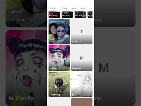 Screenshot image