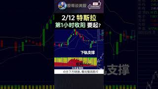 shorts【特斯拉 第一小时收阳就要起了吗？】特斯拉特斯拉股票 美股 美股分析股哥说美股 tesla 马斯克 美股复盘