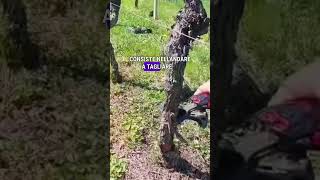 Il Sovrainnesto Cos E Come Si Fa