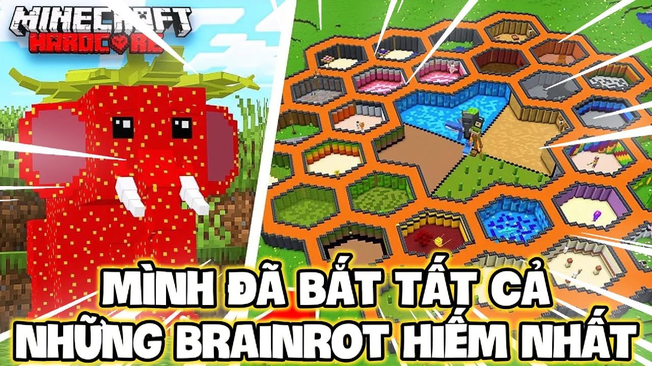 Mình Đã Bắt TẤT CẢ Những Brainrot HIẾM NHẤT Trong Minecraft !