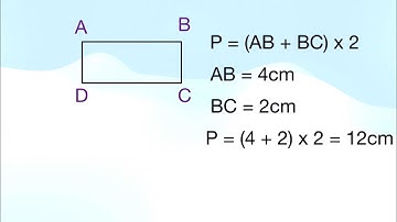 Mastering perimeter: Rectangle and square explained
