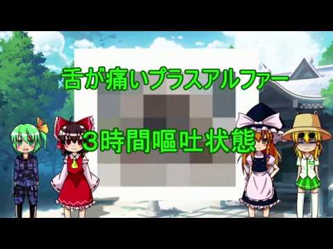 レミリアいじり追憶のピース会話７，８回目　(本屋に魔術書)