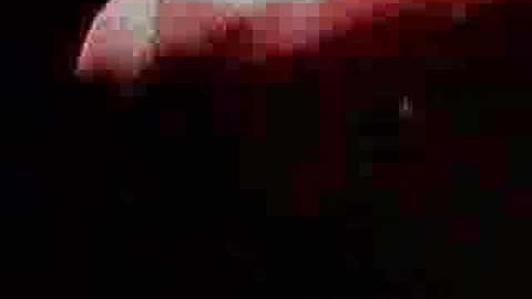 1 - Analog Fractals  - 1995