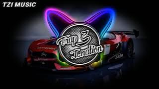 Moment of Peace - Alpi Bourigan (Remix) Bass Boosted