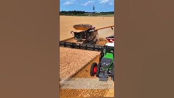 Efficient Wheat Harvesting – Over 15 Tons of Machinery in Motion!