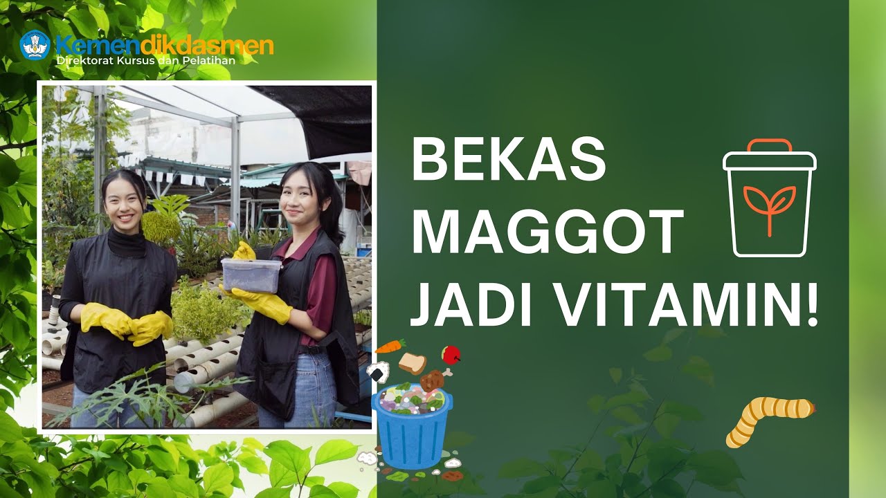 Mengolah Bekas Magot Jadi Sumber Vitamin Tanaman