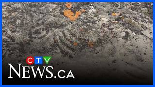 New findings shed light on ancient Sask petroglyphs