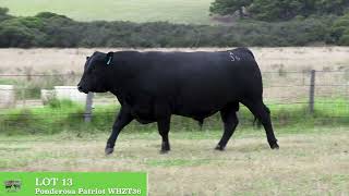 Lot 13 WHZ22T36