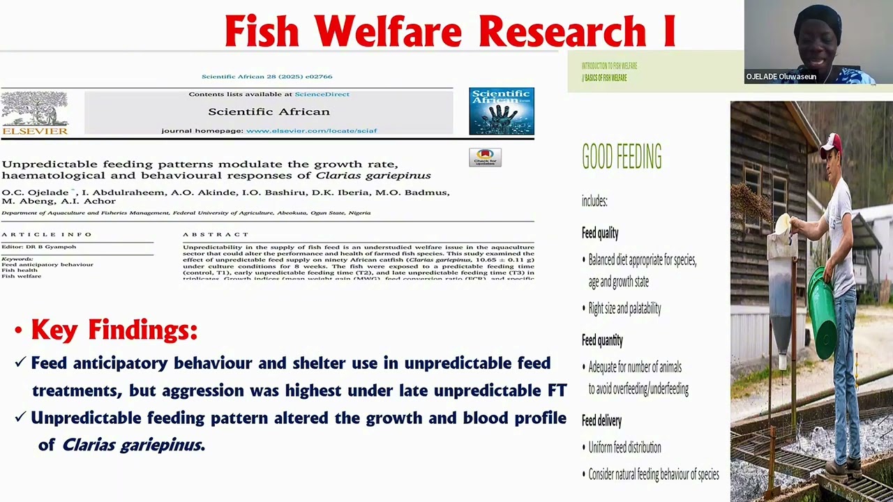 Why Fish Welfare Matters for Aquaculture Success!