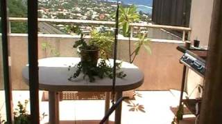 Manatea Dumesnil Jumps