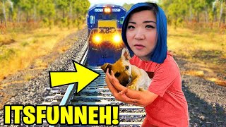 6 YouTubers Who SAVED ANIMALS LIVES! (ItsFunneh, MrBeast, DanTDM)