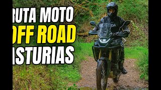 Ruta Off Road entre bosques 🏍️🌳 #cfmoto #450mt #offroad #asturias