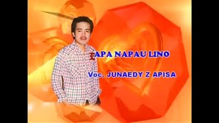 KAROKE LAGU JUNAEDY - APA NAPAU LINO