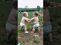 The fight doesn’t show any weakness at all twolittle guys twowobaobao grow up and play together
