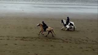 Beach Ride