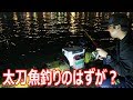 太刀魚を釣っていたら？！