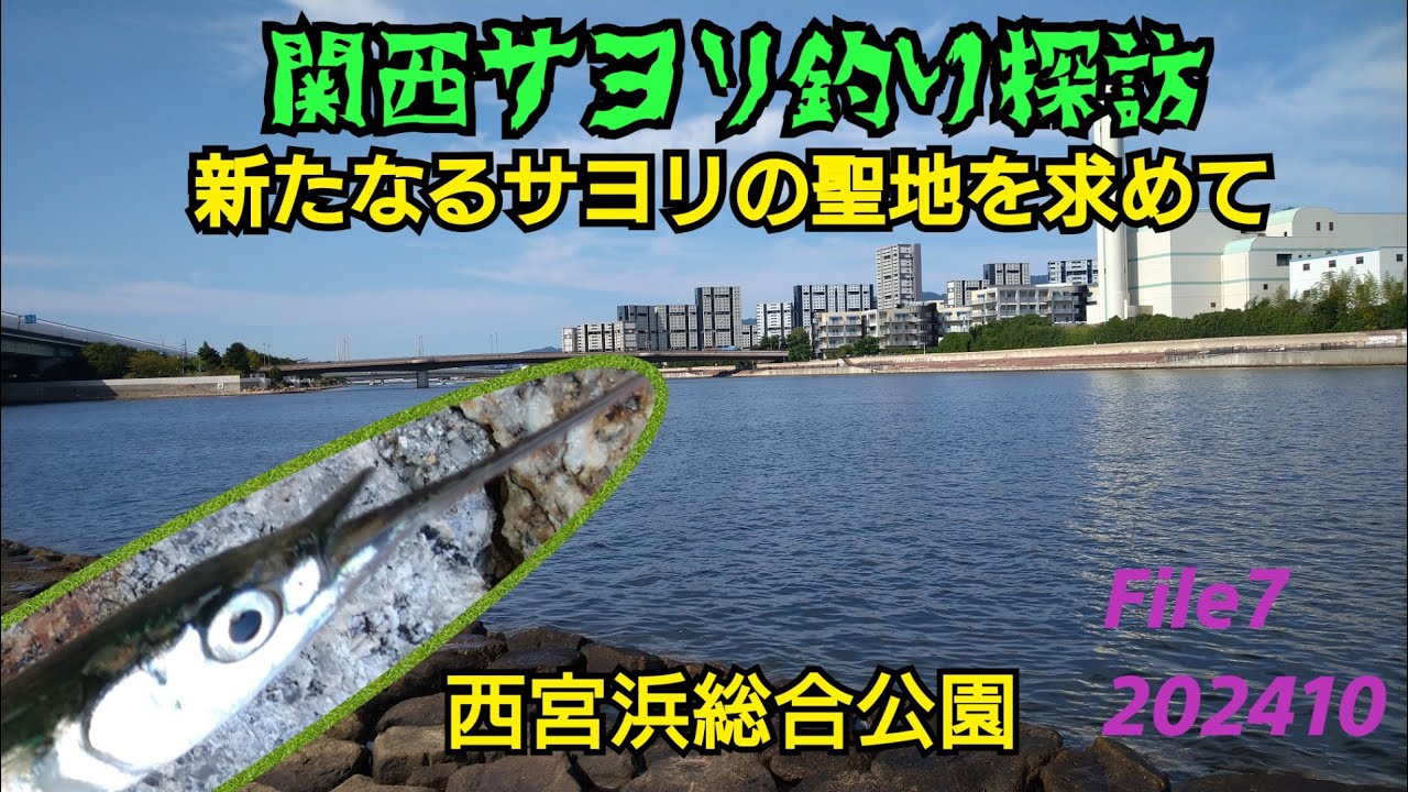 関西サヨリ釣り探訪 File7西宮浜総合公園 新たなるサヨリの聖地を求め