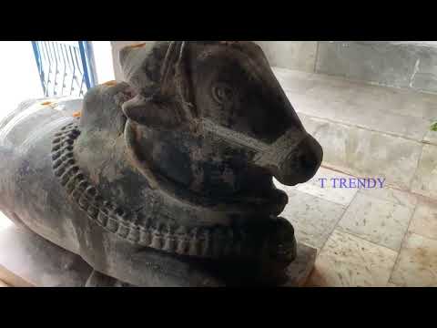 Kotilingeshwara Swamy Pooja 2026 | Kotilingalu, Kolanpaka